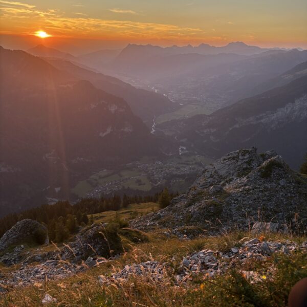 Image for choice number 31