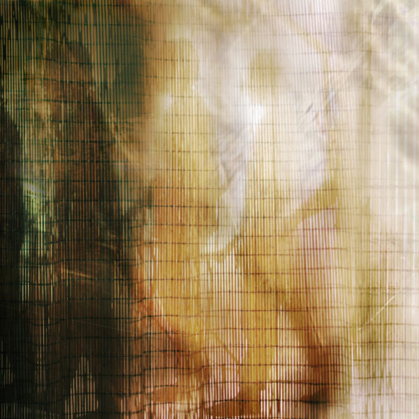 Image for choice number 26