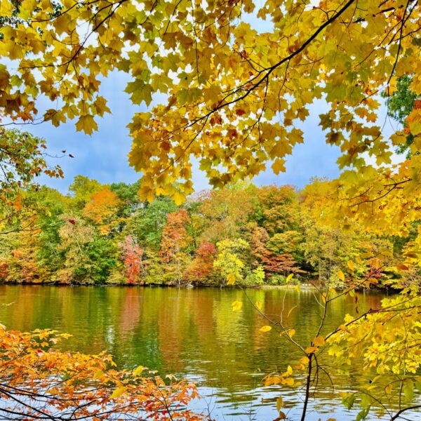 Image for choice number 24