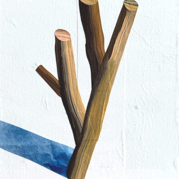 Image for choice number 16