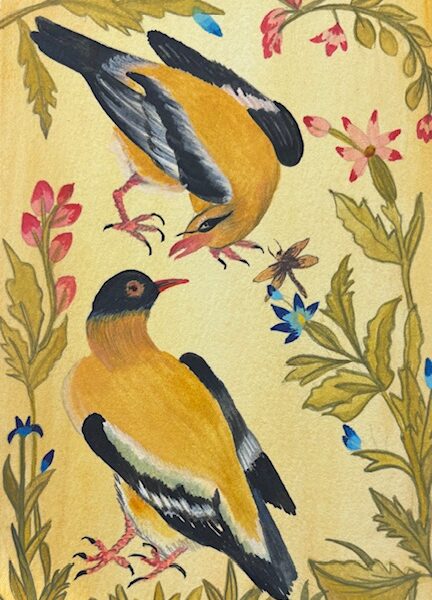 Image for choice number 14