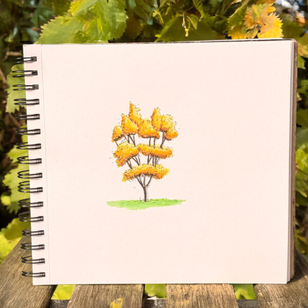 Image for choice number 7