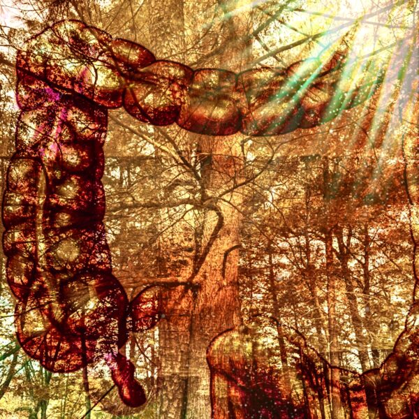 Image for choice number 2